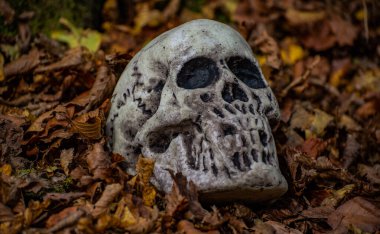 Düşen yapraklardan çıkan sahte bir kafatası.