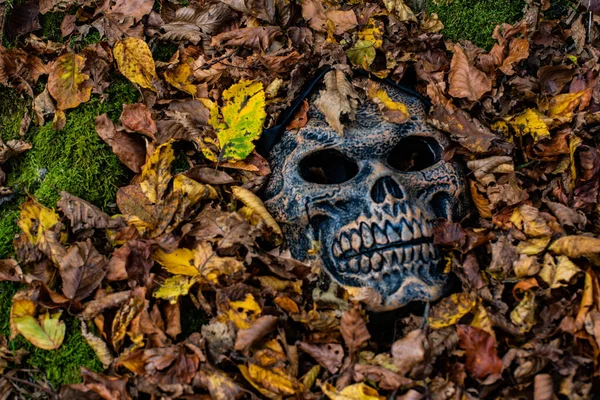 Düşen yapraklardan çıkan canavar maskesi.