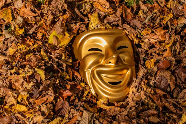 The appearance of a comedy mask from fallen leaves