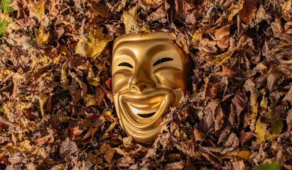 The appearance of a comedy mask from fallen leaves