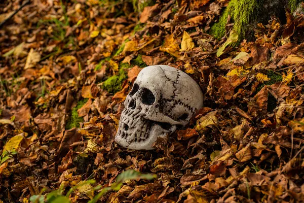 Düşen yapraklardan çıkan sahte bir kafatası.