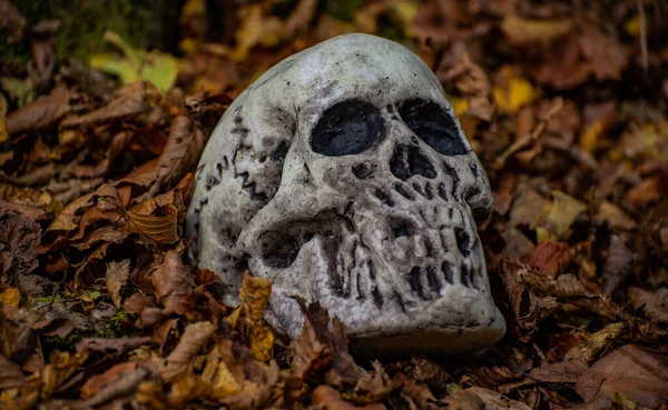 Düşen yapraklardan çıkan sahte bir kafatası.