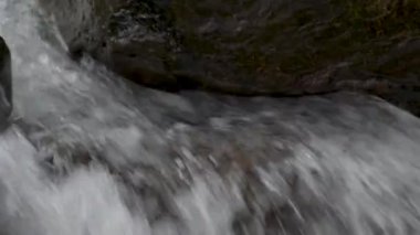 Sonbahar ormanındaki dağ fırtınalı nehir.