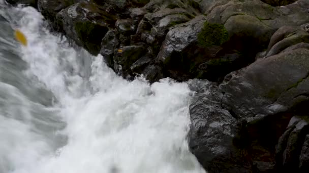 Río Tormentoso Montaña Bosque Otoño — Vídeos de Stock