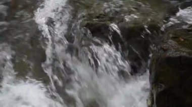 Sonbahar ormanındaki dağ fırtınalı nehir.