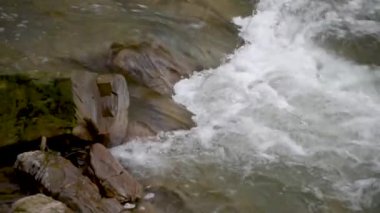 Sonbahar ormanındaki dağ fırtınalı nehir.