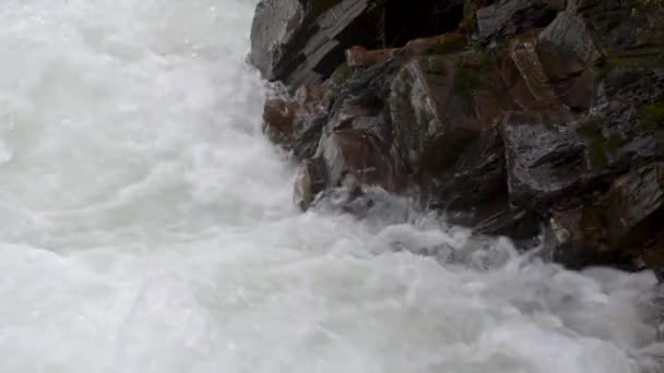 Gebirgsstürmischer Fluss Herbstwald — Stockvideo