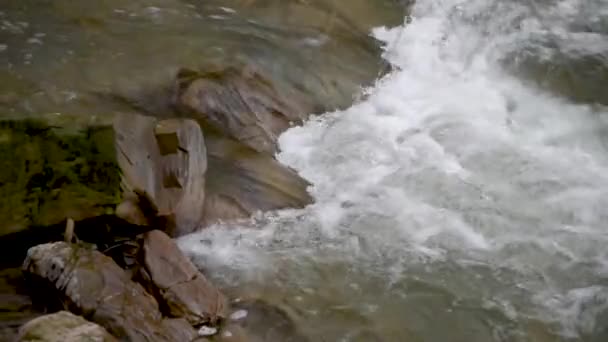 Sonbahar Ormanındaki Dağ Fırtınalı Nehir — Stok video