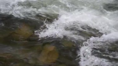 Sonbahar ormanındaki dağ fırtınalı nehir.