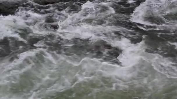 Горная Бурная Река Осеннем Лесу — стоковое видео
