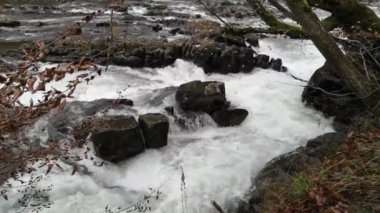 Sonbahar ormanındaki dağ fırtınalı nehir.