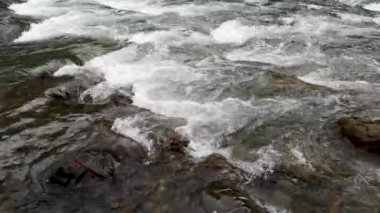 Sonbahar ormanındaki dağ fırtınalı nehir.