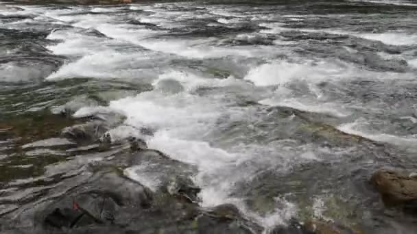 Río Tormentoso Montaña Bosque Otoño — Vídeos de Stock
