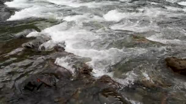 Gebirgsstürmischer Fluss Herbstwald — Stockvideo