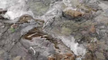 Sonbahar ormanındaki dağ fırtınalı nehir.