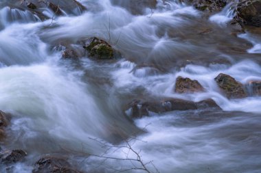 Sonbahar ormanındaki dağ fırtınalı nehir.