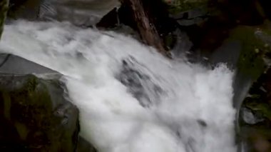 Sonbahar dağ ormanlarında şelale