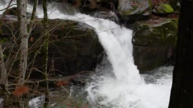 Sonbahar dağ ormanlarında şelale