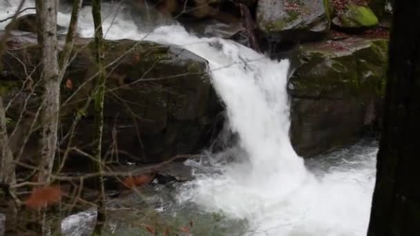 Wasserfall Herbstlichen Bergwald — Stockvideo