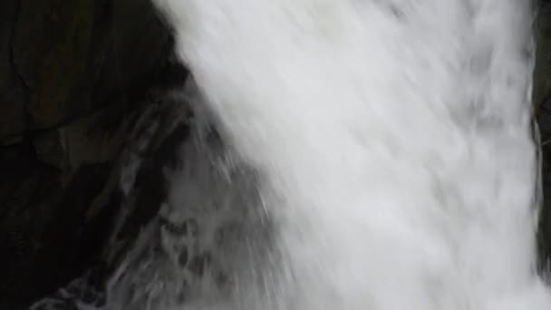 Водопад Осеннем Горном Лесу — стоковое видео