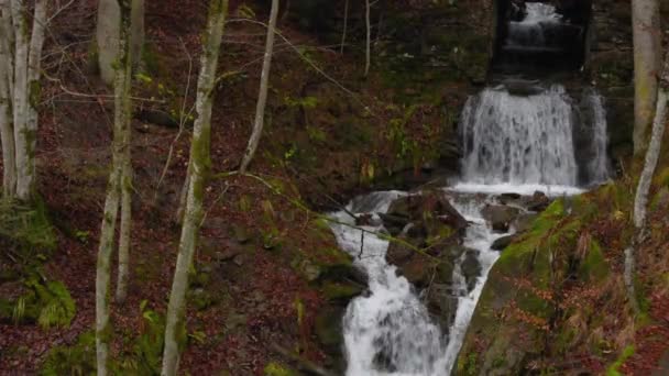 Wodospad Jesiennym Lesie Górskim — Wideo stockowe