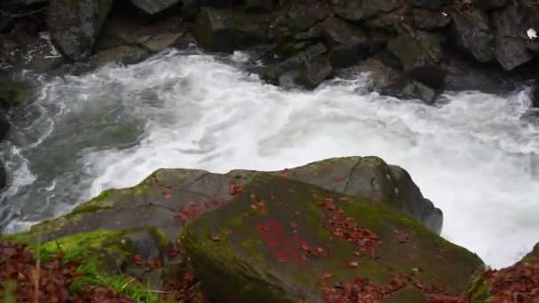 Cachoeira Outono Floresta Montanha — Vídeo de Stock
