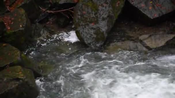Wasserfall Herbstlichen Bergwald — Stockvideo