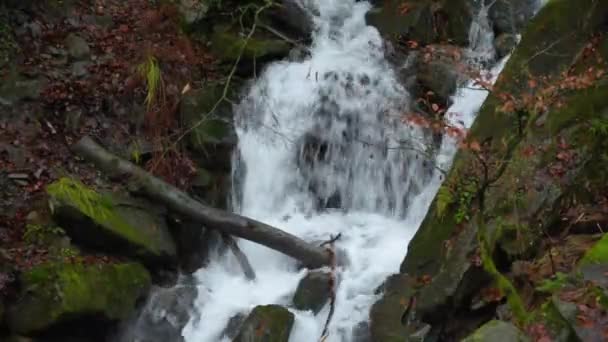 Waterval Het Najaar Bergbos — Stockvideo