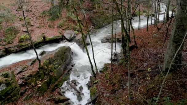 Vodopád Podzimním Horském Lese — Stock video