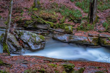 Sonbahar dağ ormanlarında şelale