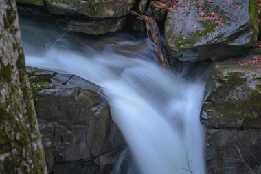 Sonbahar dağ ormanlarında şelale