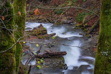 Sonbahar dağ ormanlarında şelale