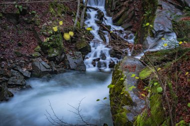Sonbahar dağ ormanlarında şelale