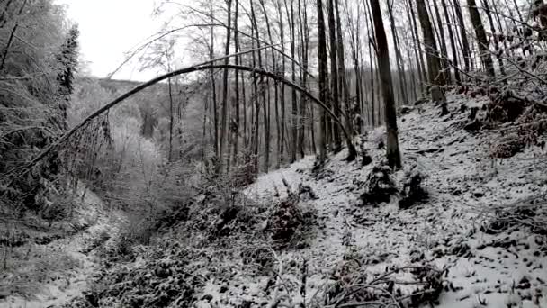 Kar Yağışı Altındaki Dağ Ormanlarının Manzarası — Stok video