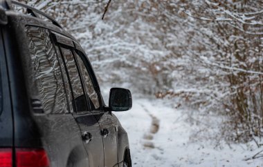 SUV, Karpatlar 'daki kış dağ ormanlarında seyahat eder.