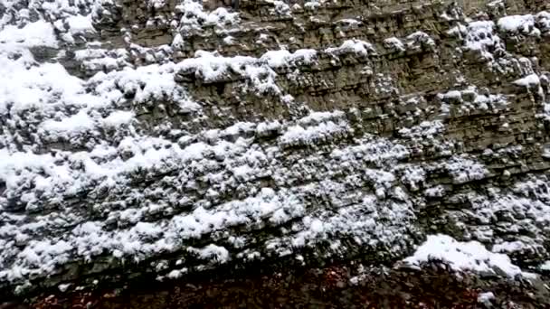 大雪中山林景观 — 图库视频影像