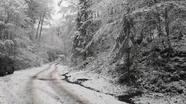Suv Fährt Winterlichen Bergwald — Stockvideo