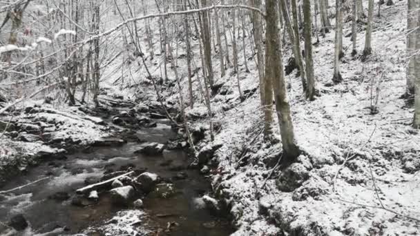 Krajina Horského Lesa Sněhu — Stock video