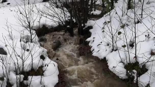 Χιόνι Λιώνει Στα Βουνά Γεμίζοντας Ρυάκια — Αρχείο Βίντεο