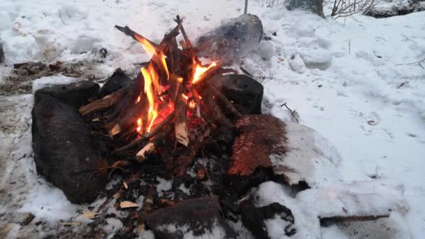 Bonfire Een Winteravond Een Besneeuwd Bergwoud — Stockvideo