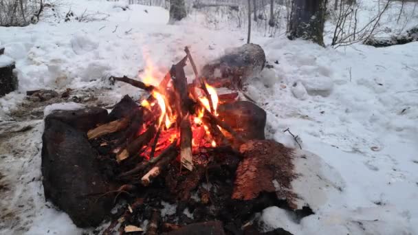 Bonfire Een Winteravond Een Besneeuwd Bergwoud — Stockvideo