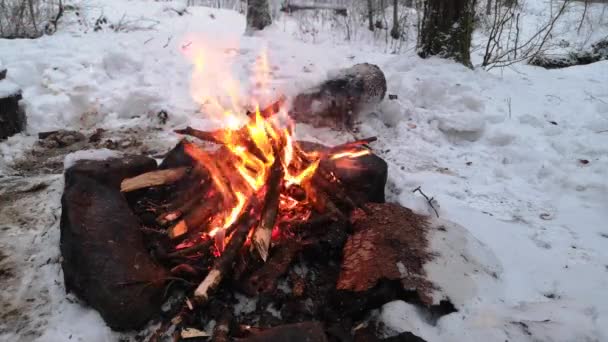 Brasan Vinterkväll Snöig Fjällskog — Stockvideo