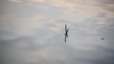 Gün batımında su ve güneşin görüntüsü