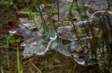 Göl kıyısında garip gökkuşağı buzu