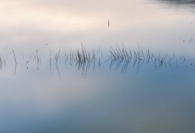 Gün batımında su ve güneşin görüntüsü