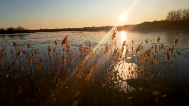 冬日湖上的落日余晖 — 图库视频影像