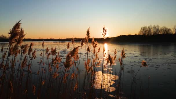 日落时的冬季湖景 — 图库视频影像