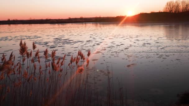 Krajobraz Zimowego Jeziora Zachodzie Słońca — Wideo stockowe