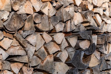 Kütüklerin dokusu bir yere istiflenmiş