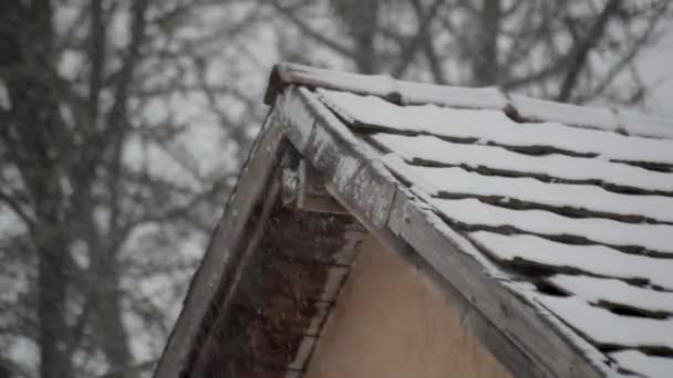 Winterlandschap Van Stad Dak Zware Sneeuwval — Stockvideo